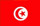 突尼斯个人旅游签证