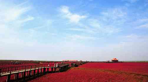 盘锦红海滩旅游几月份最好？盘锦红海滩形成原因是什么？