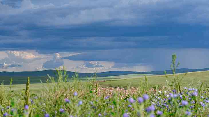 内蒙古乌拉盖草原自驾路线，乌拉盖草原住宿