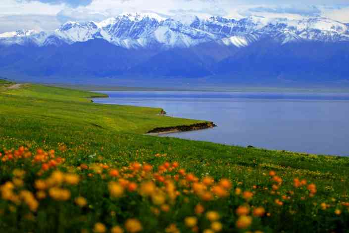 夏季去新疆有什么好玩的？请查收这份看花指南