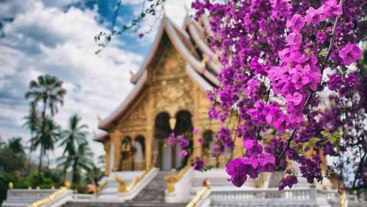 老挝旅游几个不同