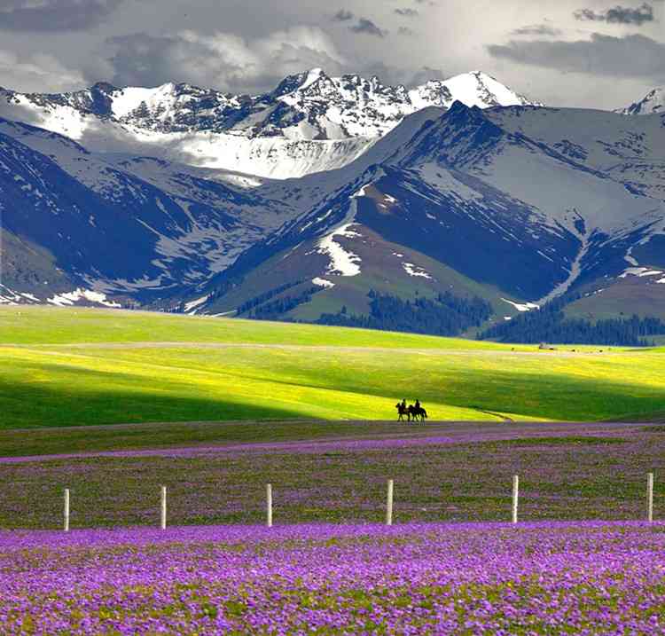 不可错过的十片新疆草原