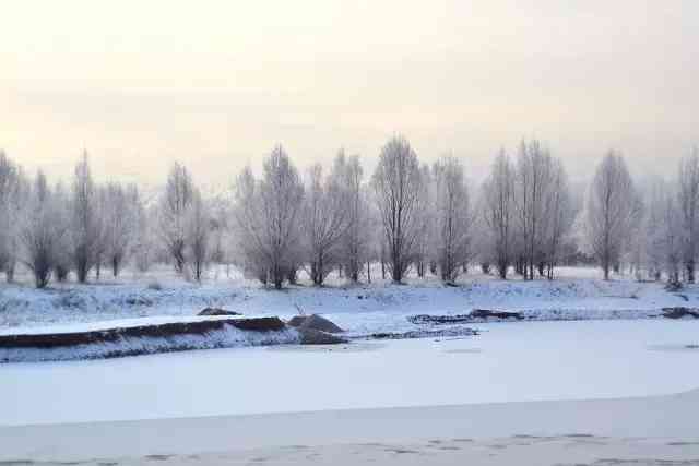 呼伦贝尔藏了个中国最冷小村庄，这里的冬天比北欧还美