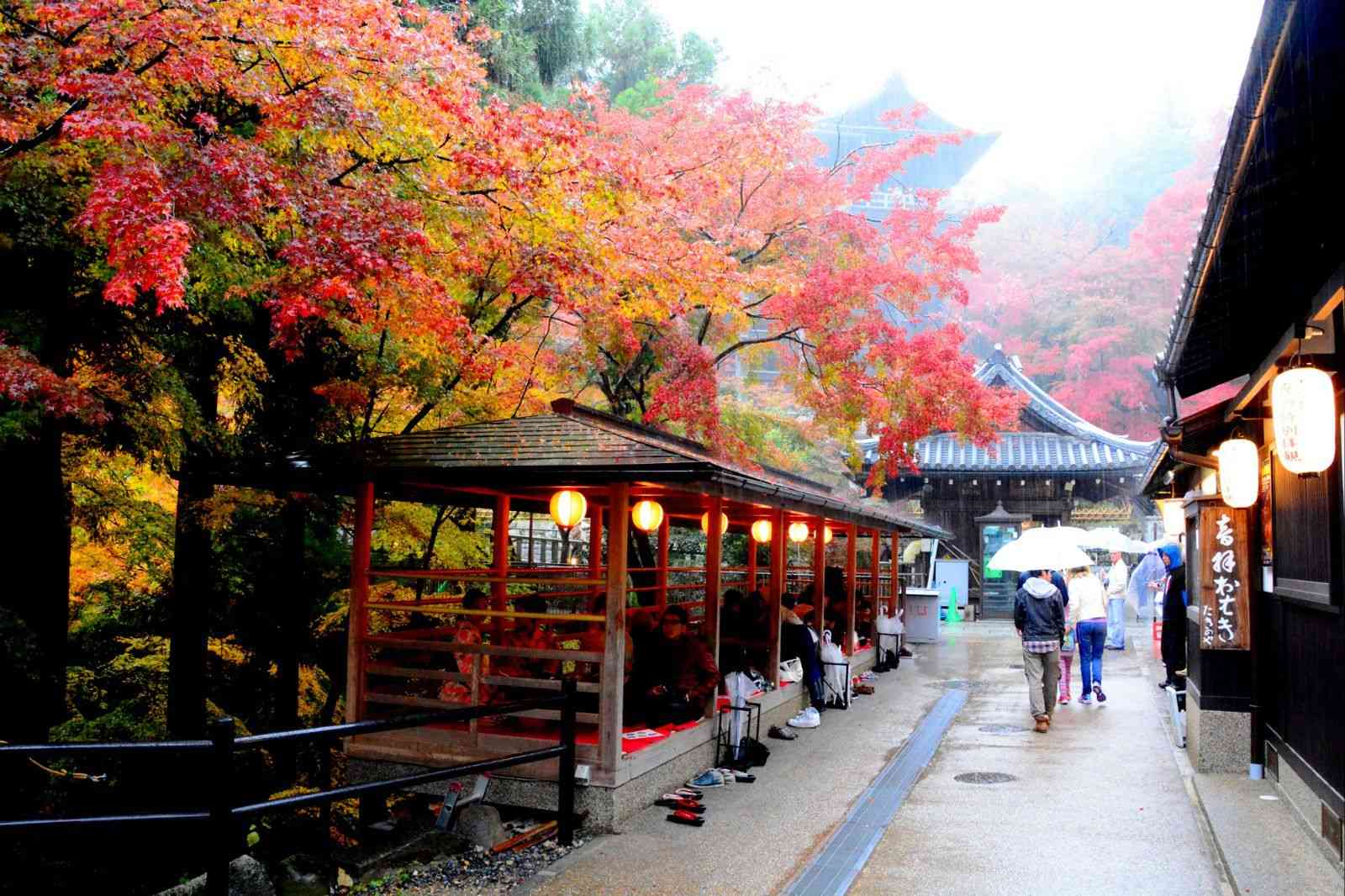 去京都旅游的注意事项