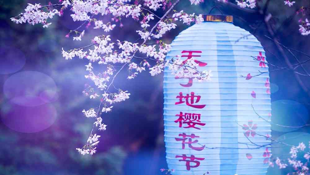 杭州赏花指南，杭州周边适合亲子出游的小众花海推荐