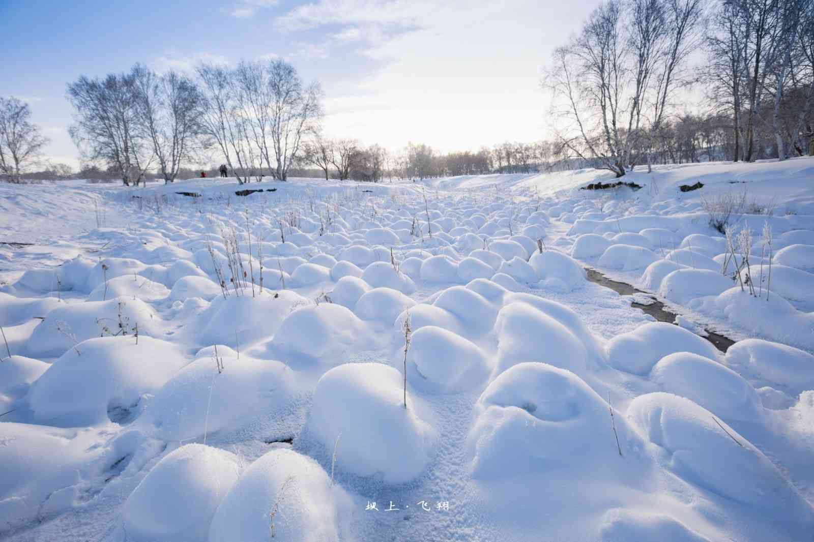 冬天乌兰布统草原有什么好玩的？