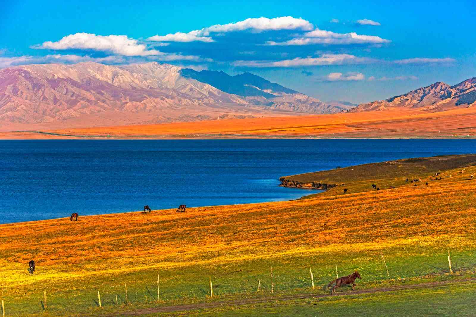 中秋国庆去新疆旅游合适吗？秋季去新疆必看景点有哪些？
