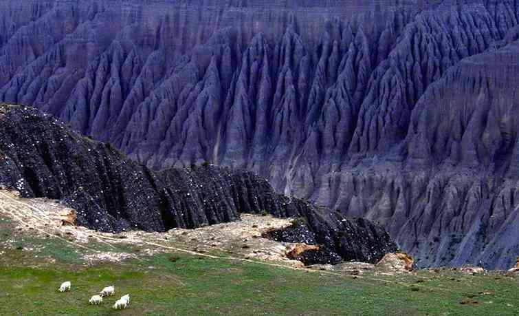 新疆独山子大峡谷有何特别之处？