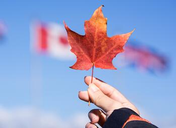什么是加拿大签证转移？如何转移？