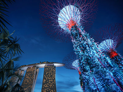 新加坡签证被拒签会退费吗？