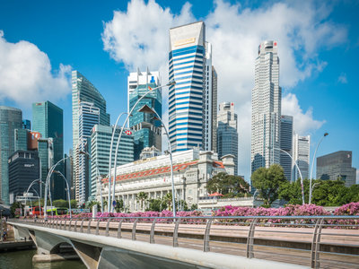 办理新加坡签证必须通过旅行社吗？