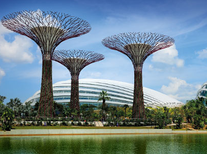 新加坡签证如何办理？