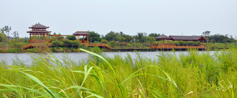 金河湾湿地植物园