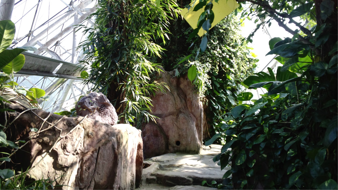 泰达热带植物园