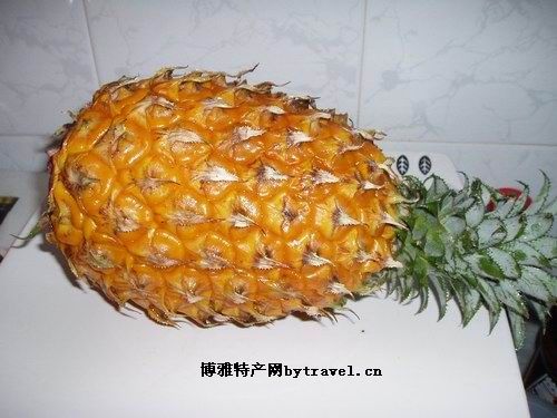 神湾菠萝