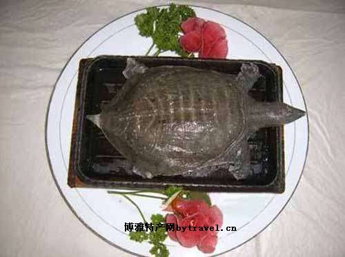 铁板甲鱼