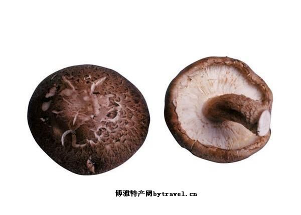 香镇蘑菇
