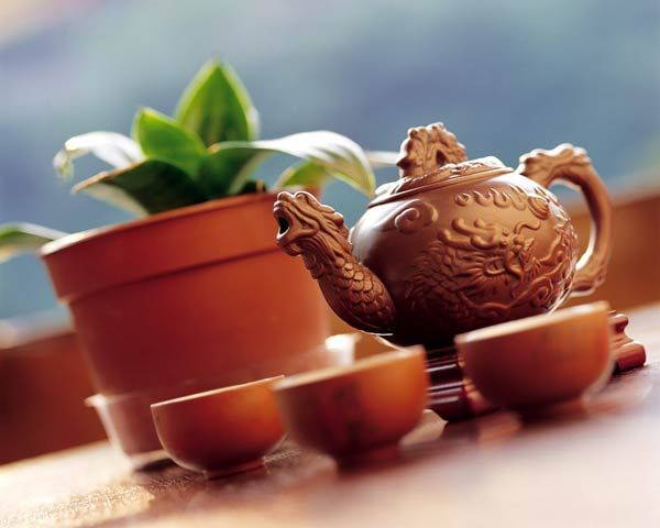 生态龙井茶