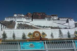 北京去西藏旅游团大概多少钱？布达拉宫扎基寺嘎拉桃花村双飞6日