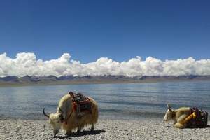 北京到西藏旅游线路行程 西藏 林芝 布拉达宫 纳木错双卧十日