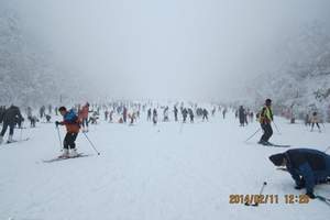 清凉山滑雪场团购 石家庄旅行社清凉山滑雪一日游