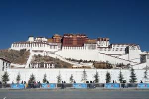 西藏旅游：拉萨布达拉宫，大昭寺，八角街一日游