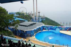 去香港澳旅游成团线路 港澳纯玩迪士尼 海洋公园5日游