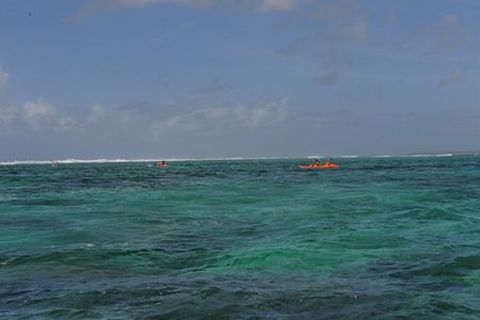 <毛球印象1日游>蓝海湾珊瑚公园  格里格里风景区