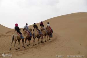 去内蒙古草原旅游|沙漠旅游|希拉二大草原+库布其沙漠二日游