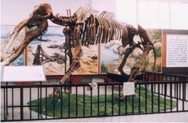 西河桥古生物化石