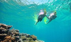 澳新大堡礁旅游